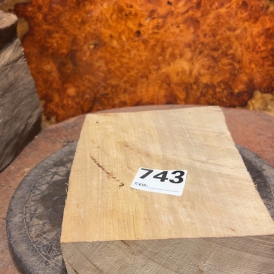 大果紫檀（缅甸花梨）