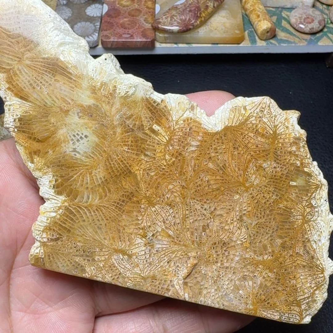 硅化玉纯天然色有机玉石保真色片料未镶嵌