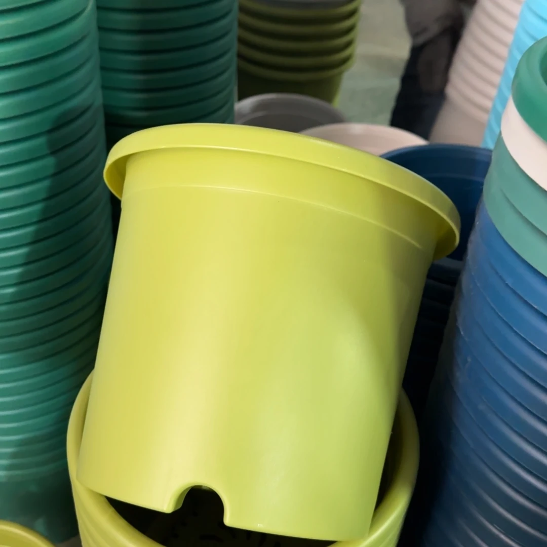 树脂特价4#无拖果绿8个