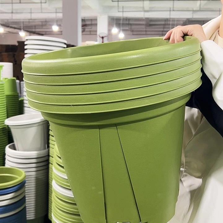 正品青山口40高34果绿无托5只