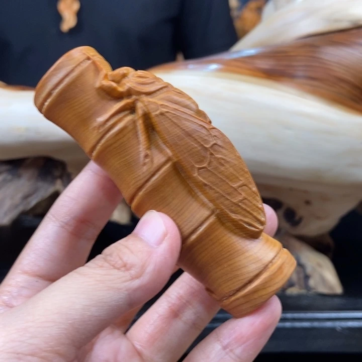 柏木（崖柏）一鸣惊人