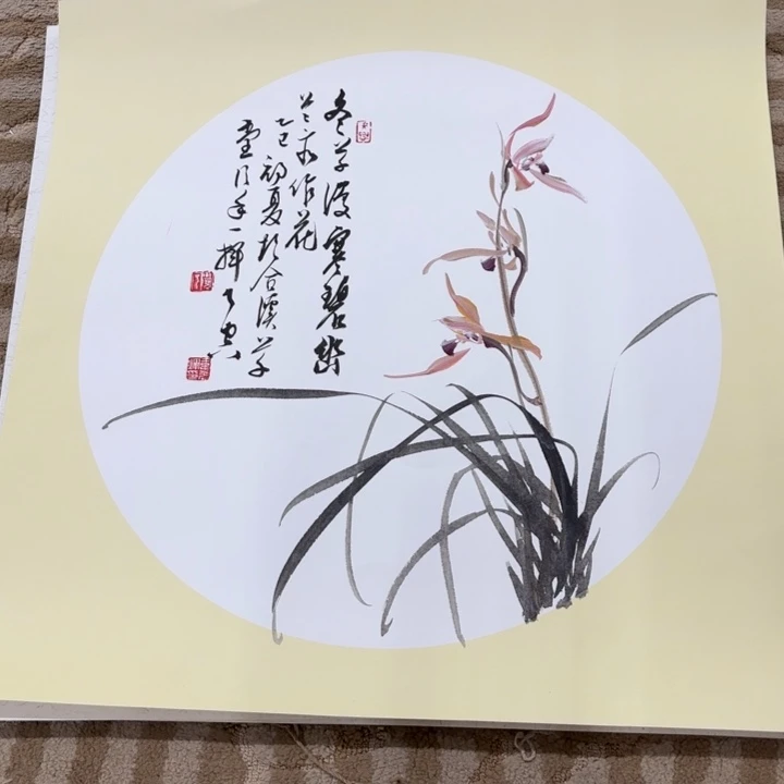 国画花鸟等多种鸟类和鸟类为
