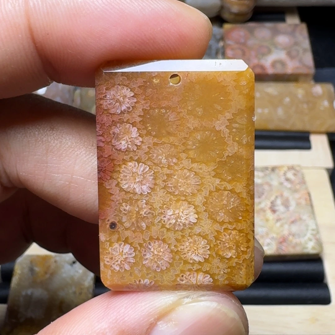 未镶嵌纯天然色有机玉石保真色硅化玉