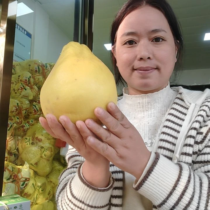 冰糖柚2个精品香柚试吃装