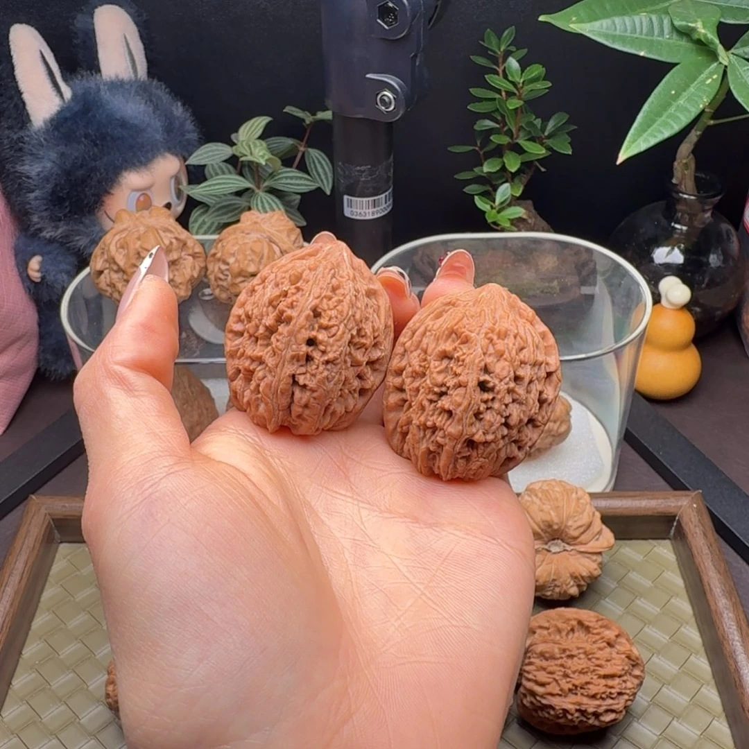 龙脊菩提把件全品大蒜头36+