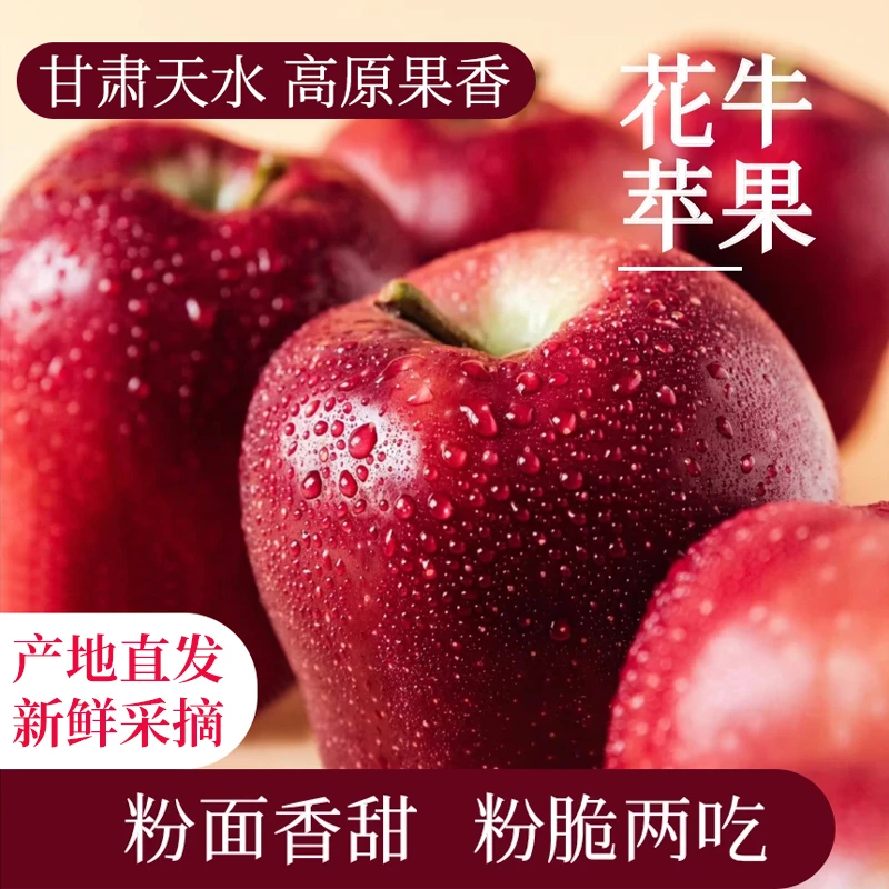 【次日达】正宗甘肃天水花牛苹果粉脆两吃当季新果新鲜采摘5斤装甘肃省