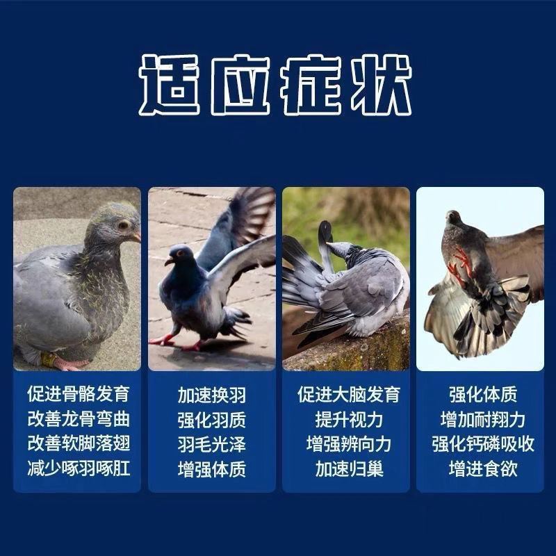 鸽子用全矿素 保健砂鸽用蛋黄保健球矿物质提供鸽子所需微量元素