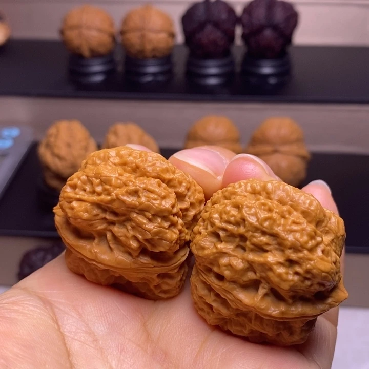 把件文玩核桃霸王龙脊22