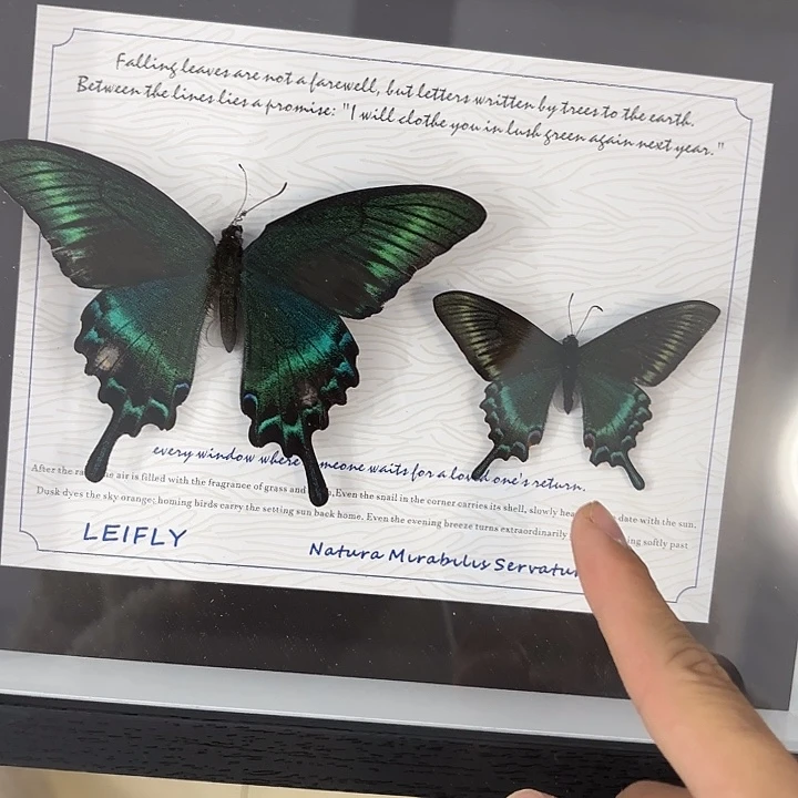 十寸新背景绿带春夏