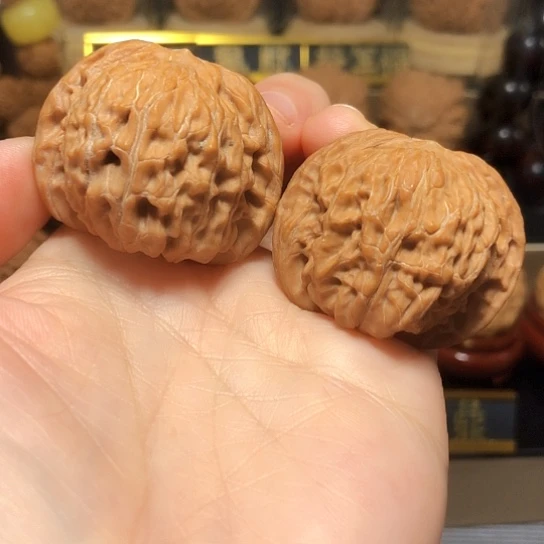 特价款：山地红皮磨盘（不退不换）