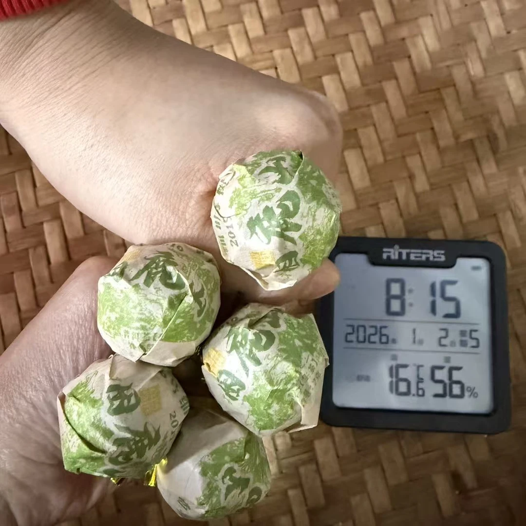 2019年困鹿山6号细叶母树古树普洱生茶龙珠H2号1月2日