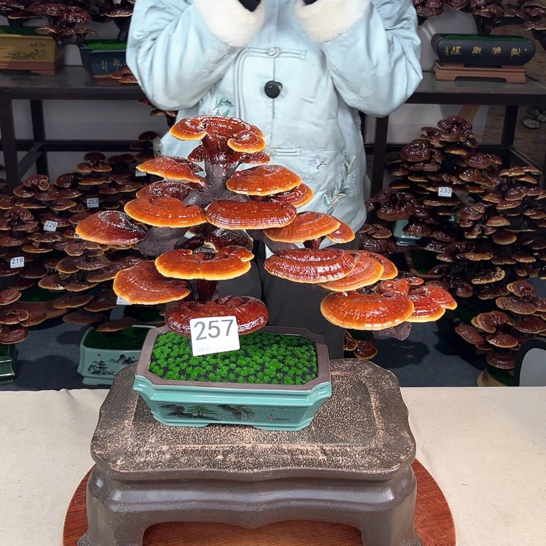 万事如意888888257