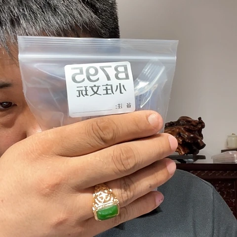【闪购商品】石英石铁合金菩*树795