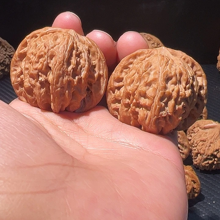 核桃全品无修40磨盘