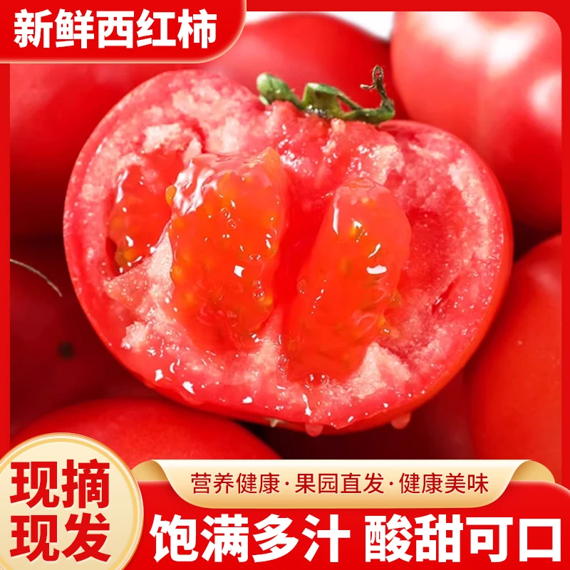 老品种自然熟西红柿 普罗旺斯沙瓤 大粉新鲜生吃水果西红柿