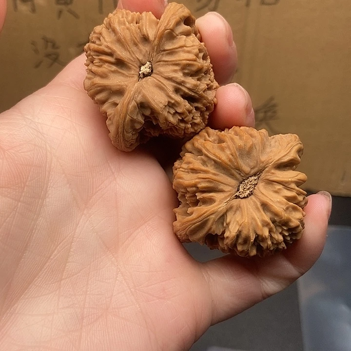 M***师大大大大大大大南疆