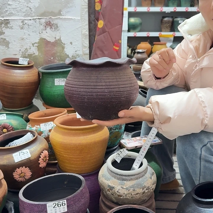 紫色矮花边高度15口径17
