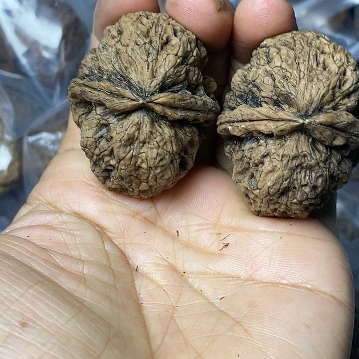 文玩核桃把件云南铁核桃35