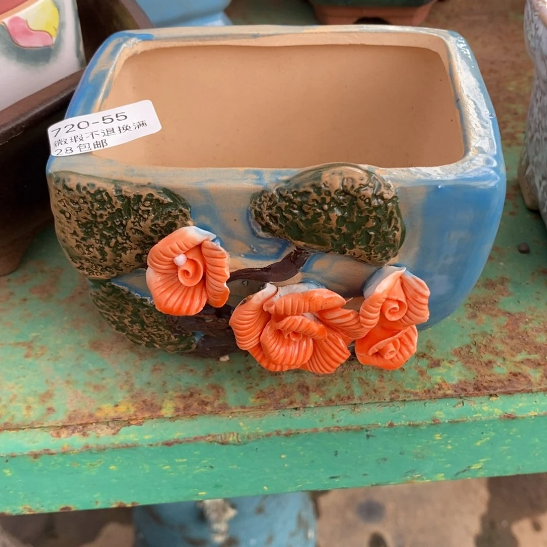 小***朵55号多肉盆口径10