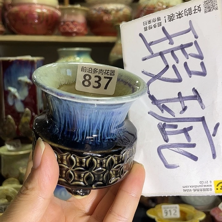 狼盆内口径5高度6