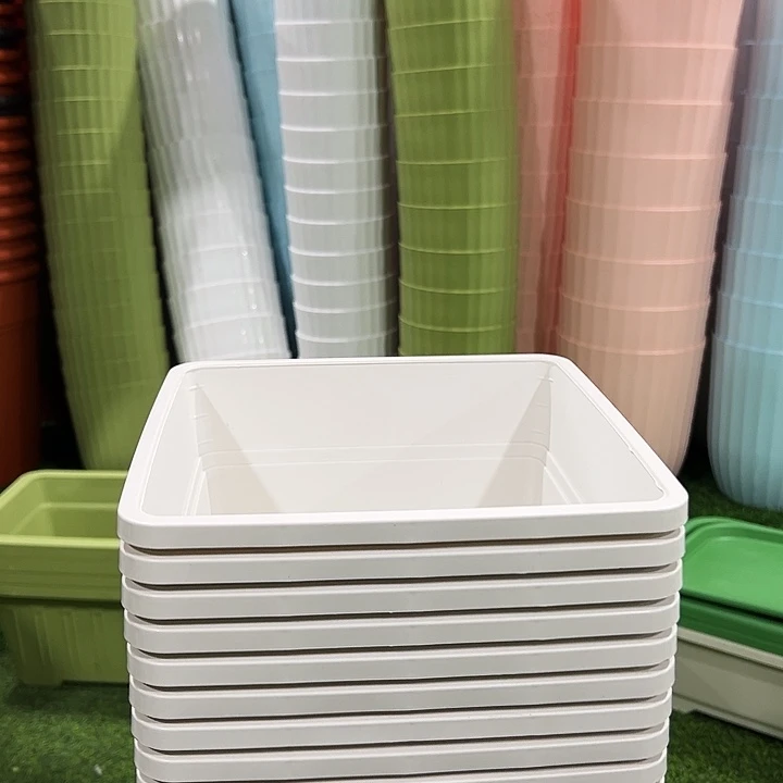 正品方盆口23高26.5白色5只无托