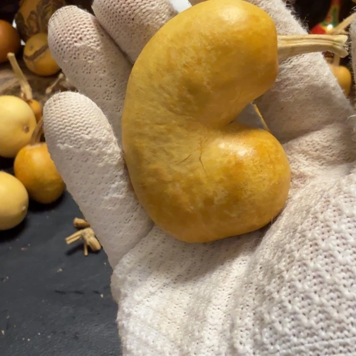 零***星花叶桔皮6666666666