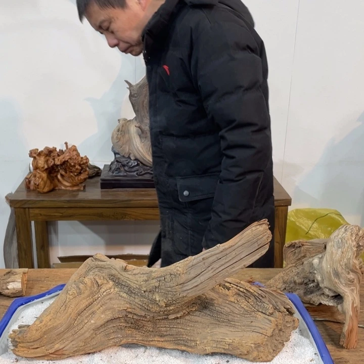 把***风我们都是好孩子呀