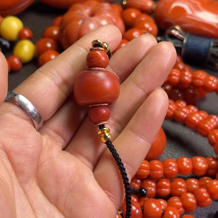 颈饰琉璃草**鹰琉璃………