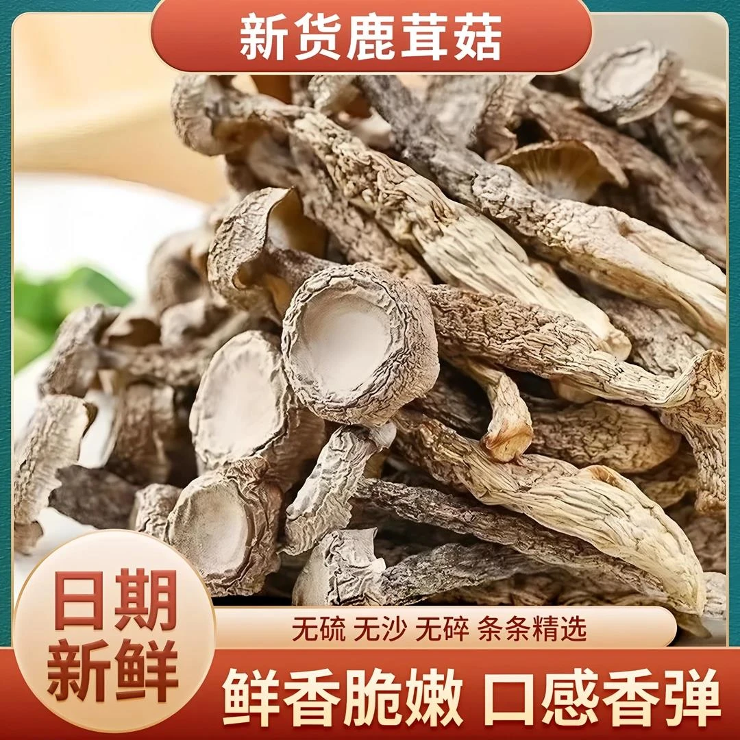 【鹿茸菇干货】到手4袋*50克25年无干燥剂古田精选鹿茸菇新鲜鹿茸干