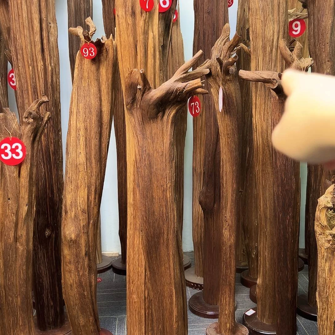 沉香沉香碎屑天然沉香原料香料