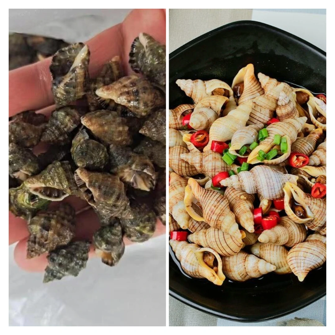 混搭套餐：2斤辣螺+2斤红枣螺顺丰发货