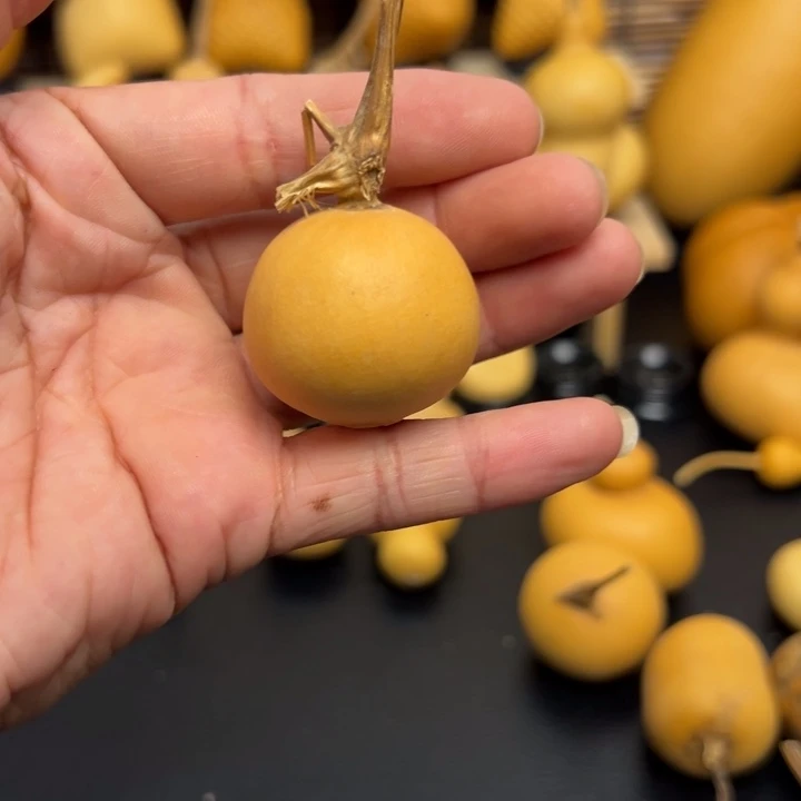 K****i125555566556626996