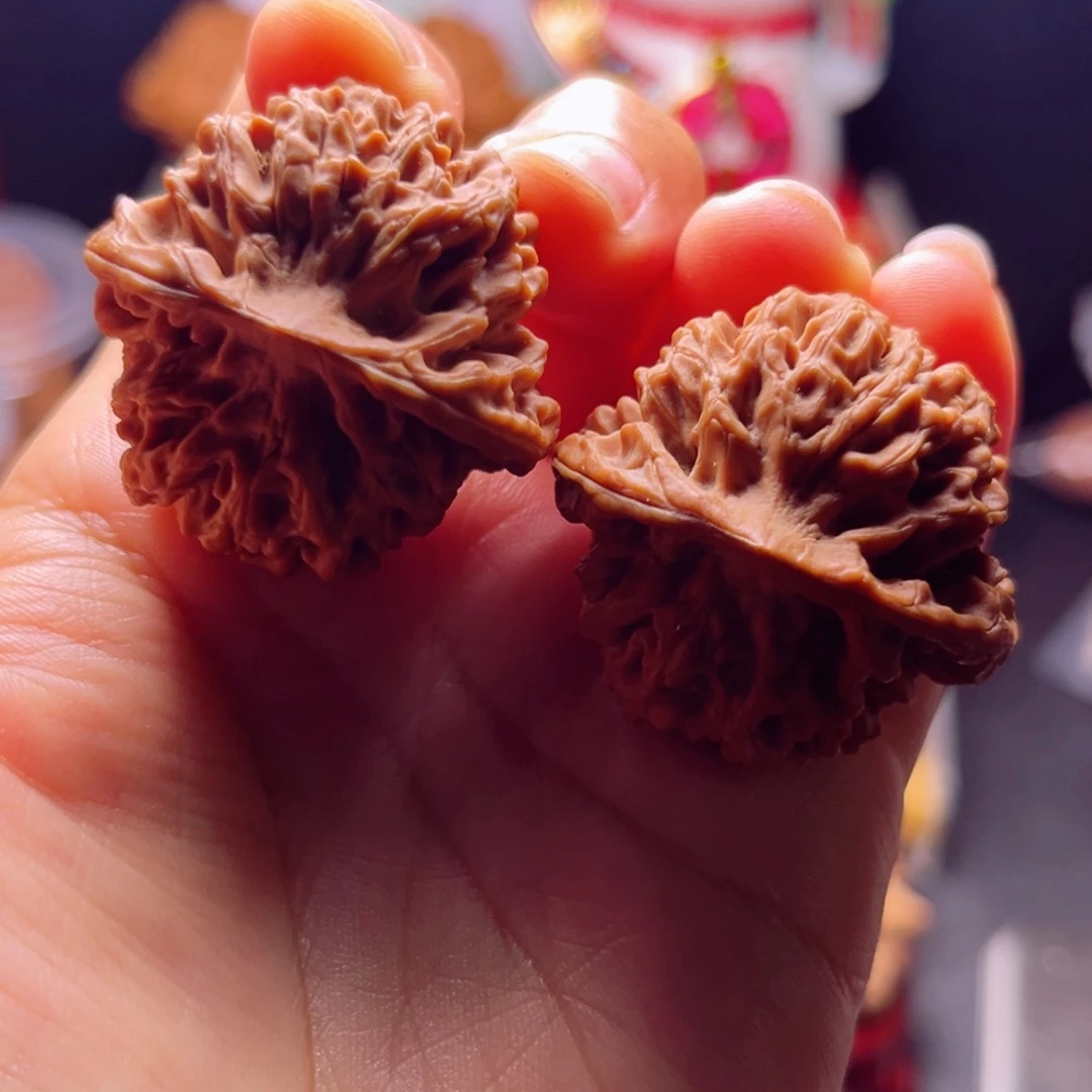 大叶紫檀（黑酸枝木类）货头秦闷