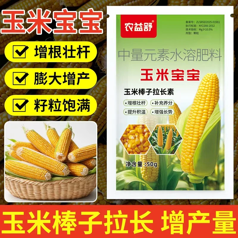 玉米宝宝膨大果实不突尖不划粒籽粒饱满抗倒伏耐寒耐旱