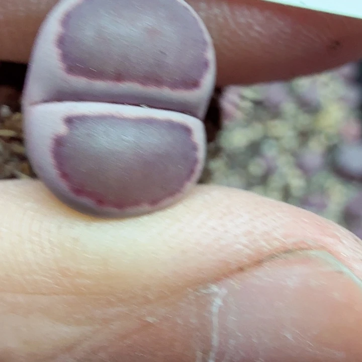 发一句祝福给大家祝696