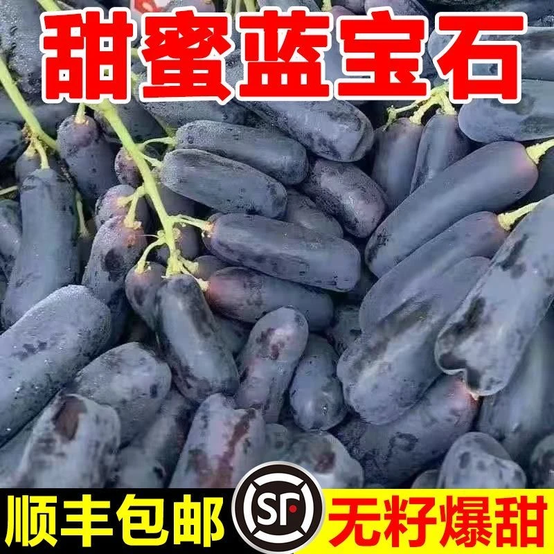 顺丰】蓝宝石葡萄提子山西运城水果脆甜提无籽黑美人指蓝宝石葡萄