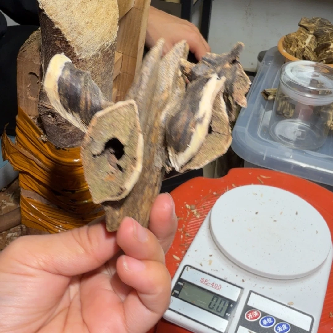 白奇沉香块料沉香35k