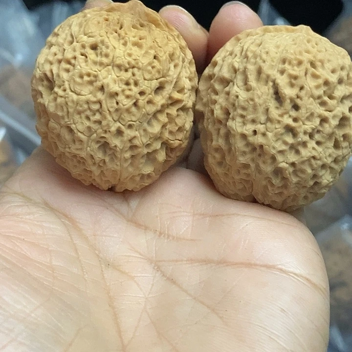 文玩核桃把件云南铁核桃基地84