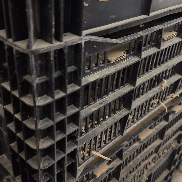 轻餐次混球福利不包售后3球