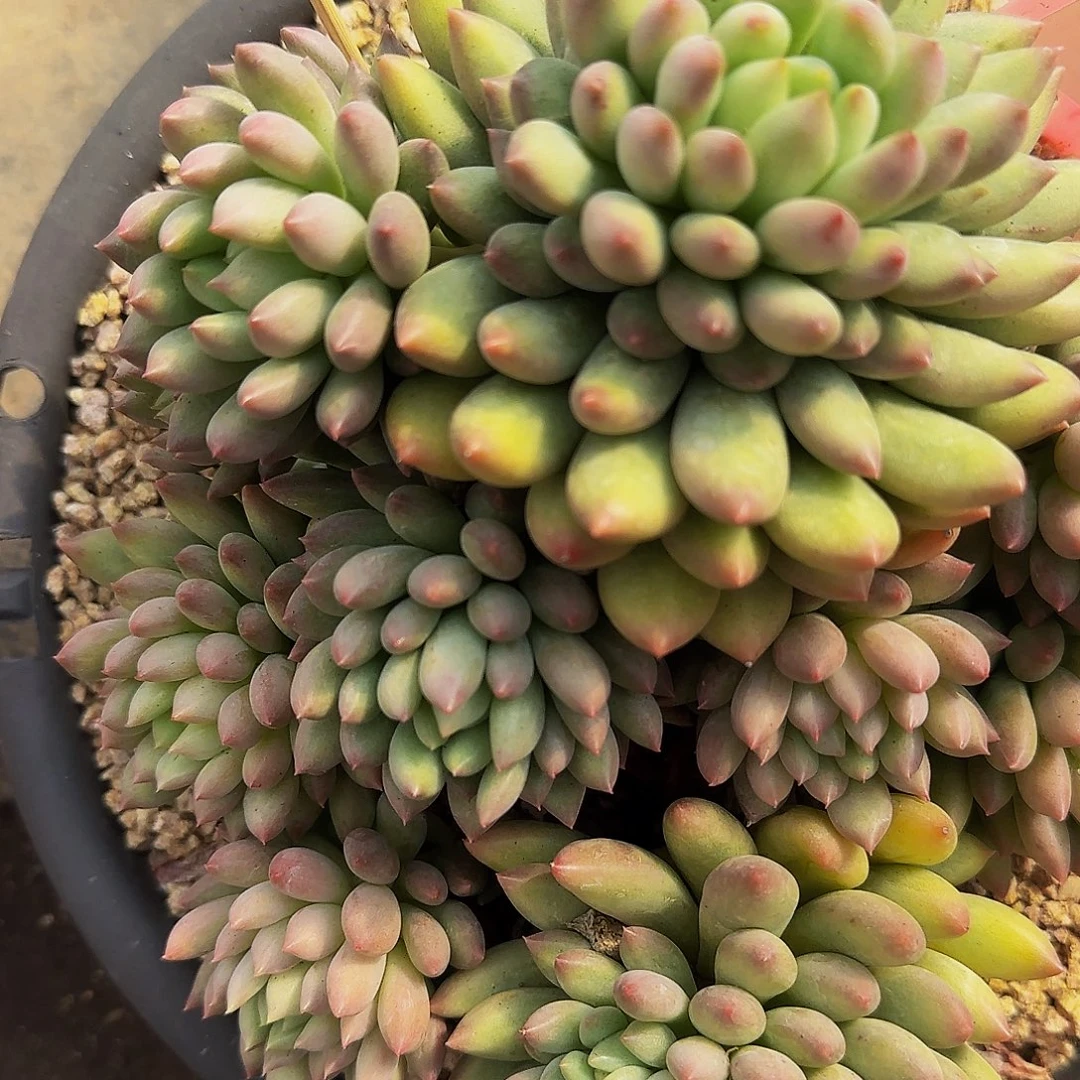 竹***，啊呃呃呃哦啦啦啦啦啦啦啦lla861