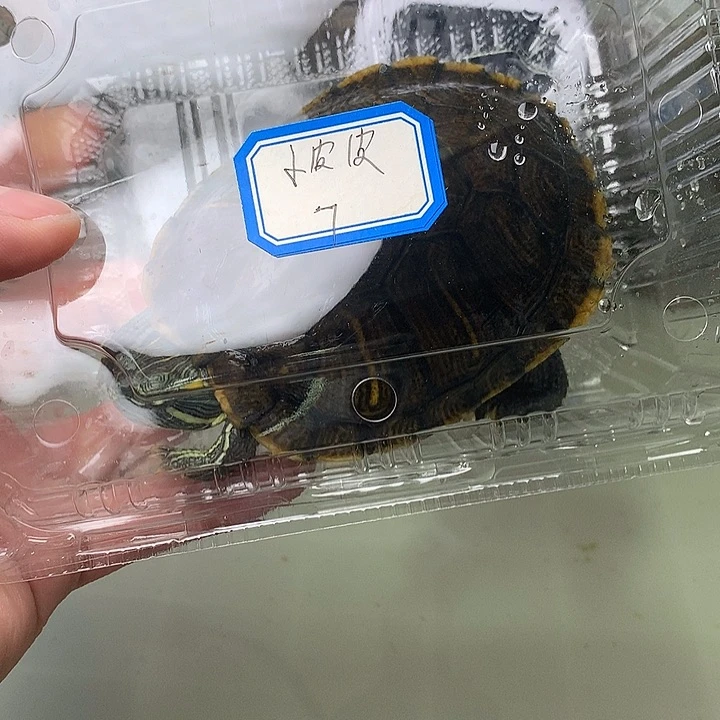 哈哈哈哈哈哈哈哈哈哈哈换