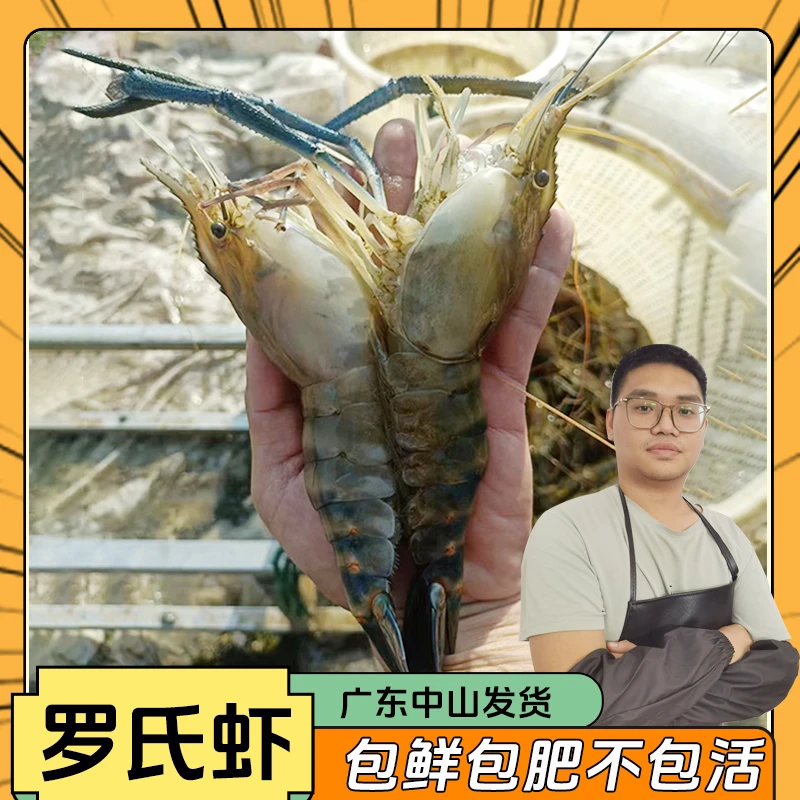 虾罗氏虾大虾罗氏沼虾罗氏大虾大罗氏虾包鲜不包活包邮软壳罗氏虾