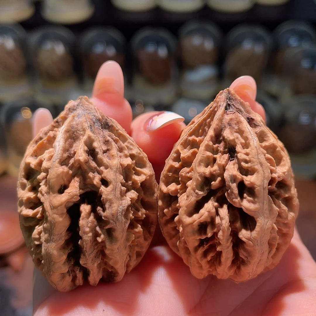 文玩核桃把件蚂蚁29