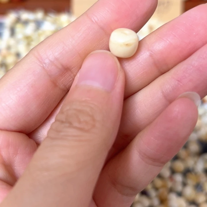 裸石蜜蜡未镶嵌8.8mm一个