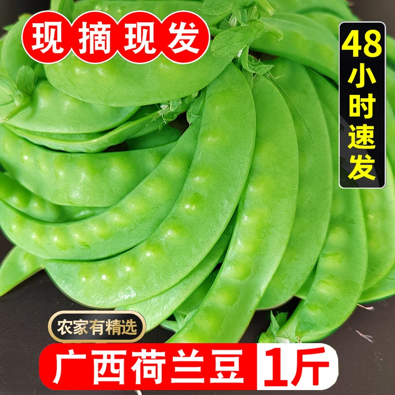 荷兰豆广西鲜甜农家自种荷兰豆鲜甜可口 现摘现发