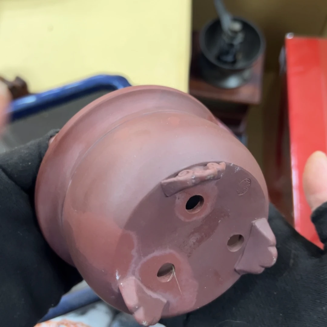 碗哈哈哈哈哈哈哈哈哈哈哈