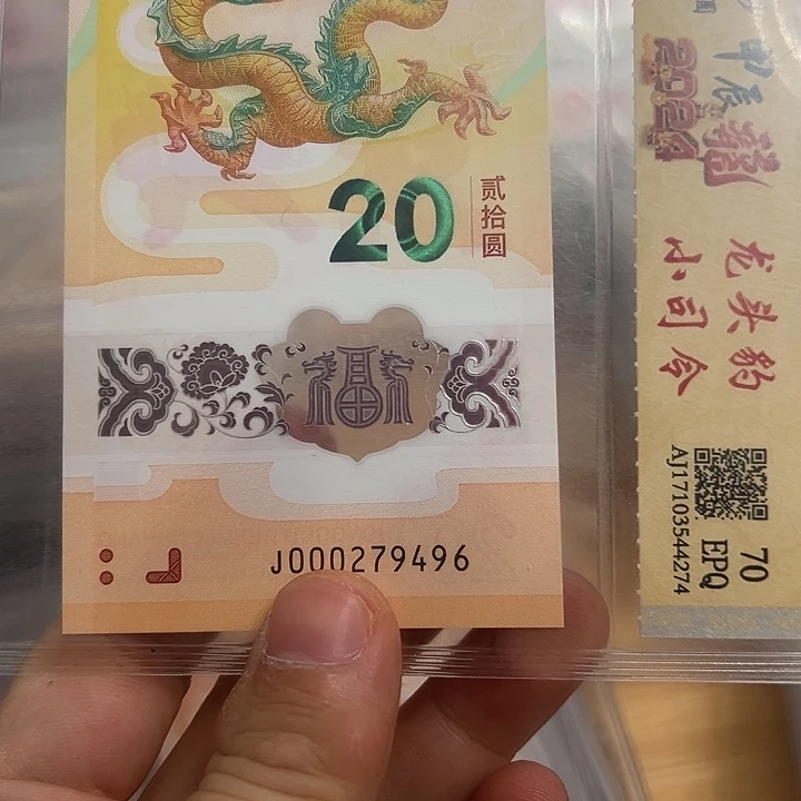 塑料000279496单张龙