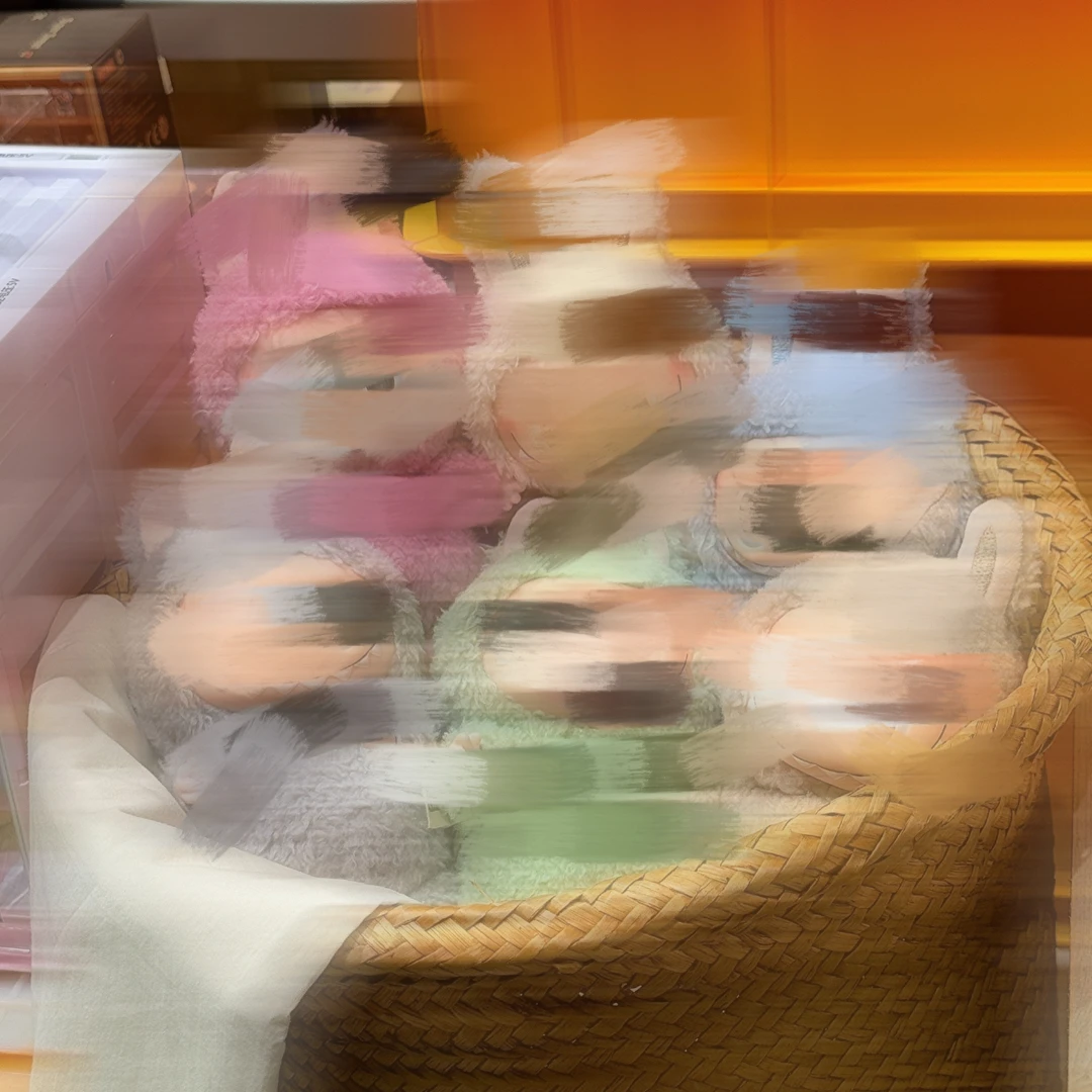 【琥珀潮玩】 1代毛绒钥匙扣盲盒