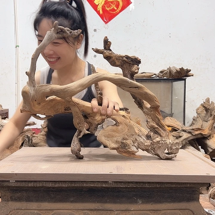 柏木公*刻我们的生活也