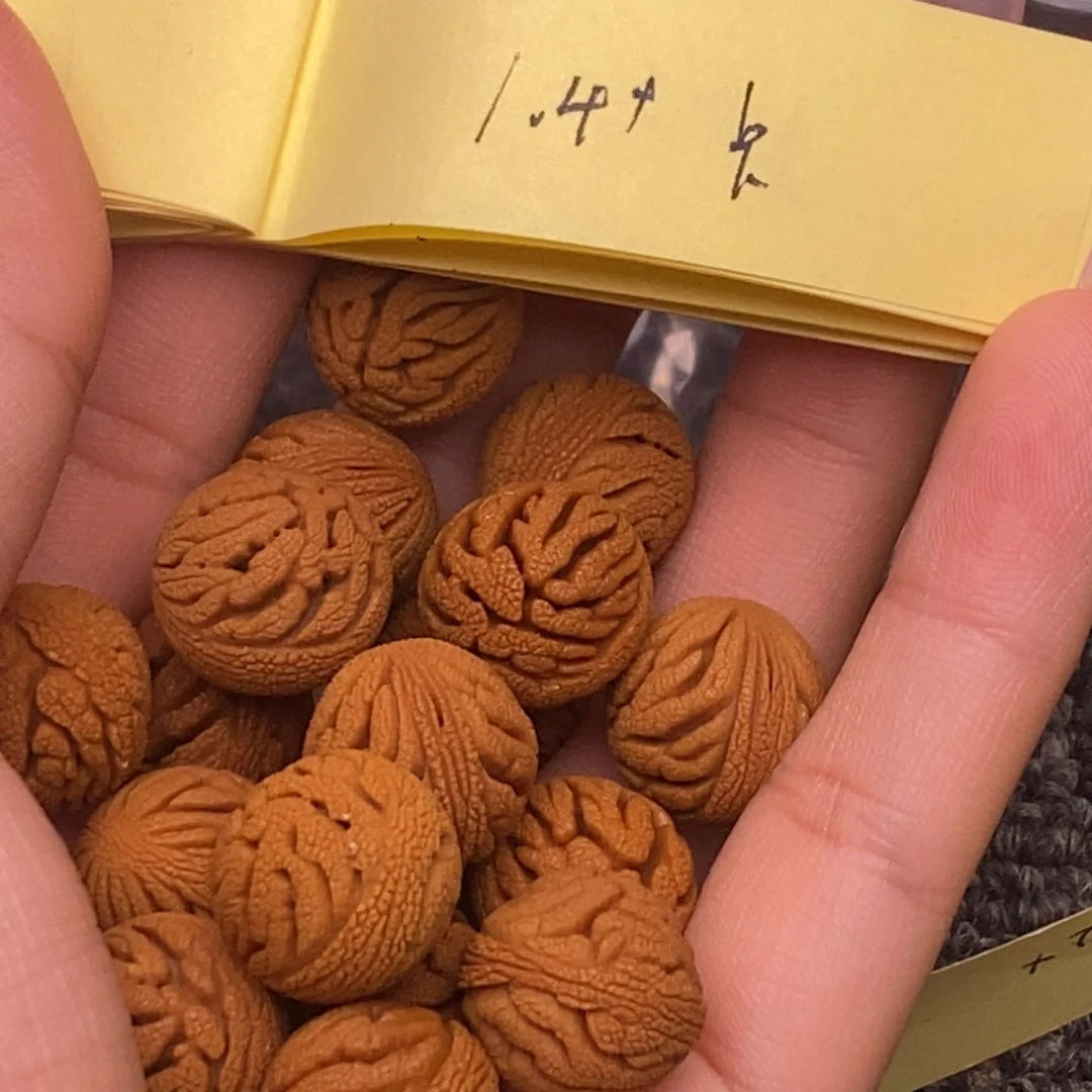 秦岭山脉龙纹桃核 17